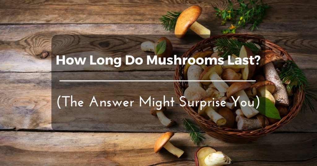how-long-do-mushrooms- last