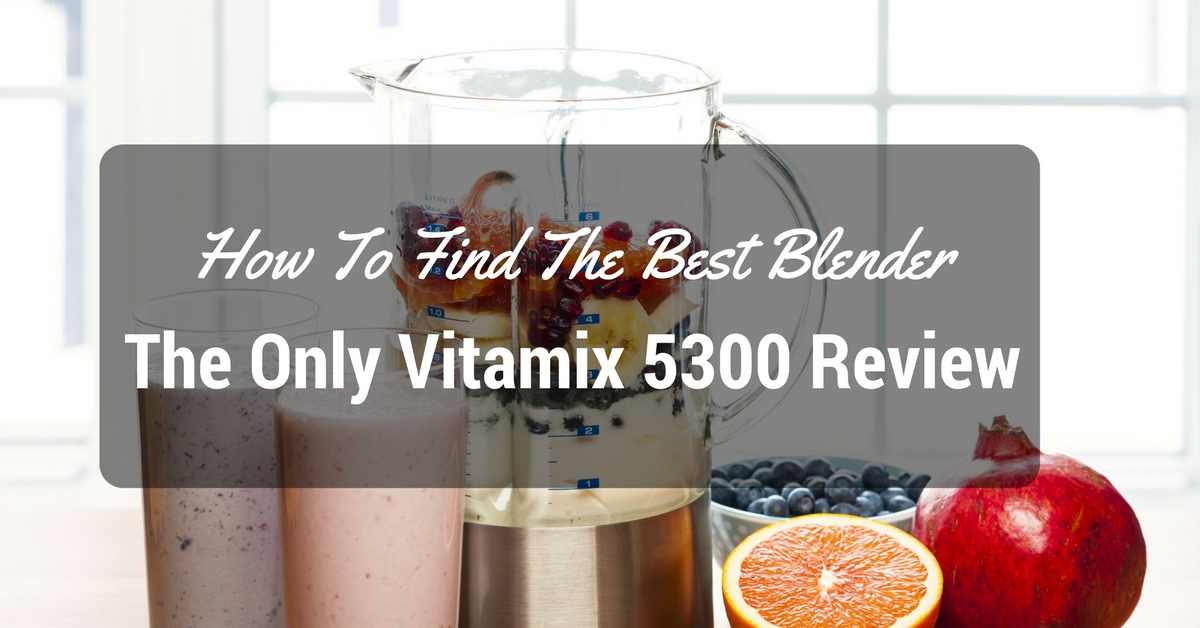 Vitamix-5300-Reviews