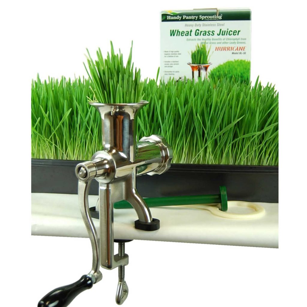Best Wheatgrass Juicer Reviews (2019)