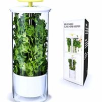 Premium Herb Keeper and Herb Storage Container – Extra Large Glass Design Keeps Greens and Vegetables Fresh for 2x Longer – By NOVART