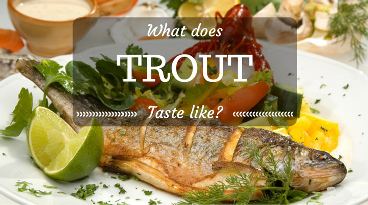 What Does Trout Taste Like