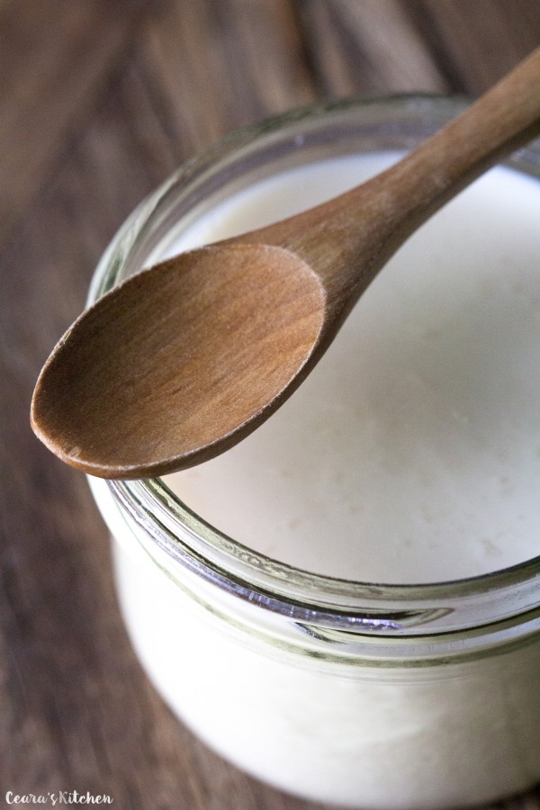 How To Make A Vegan Yogurt Step by Step