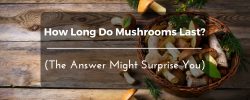 how-long-do-mushrooms- last