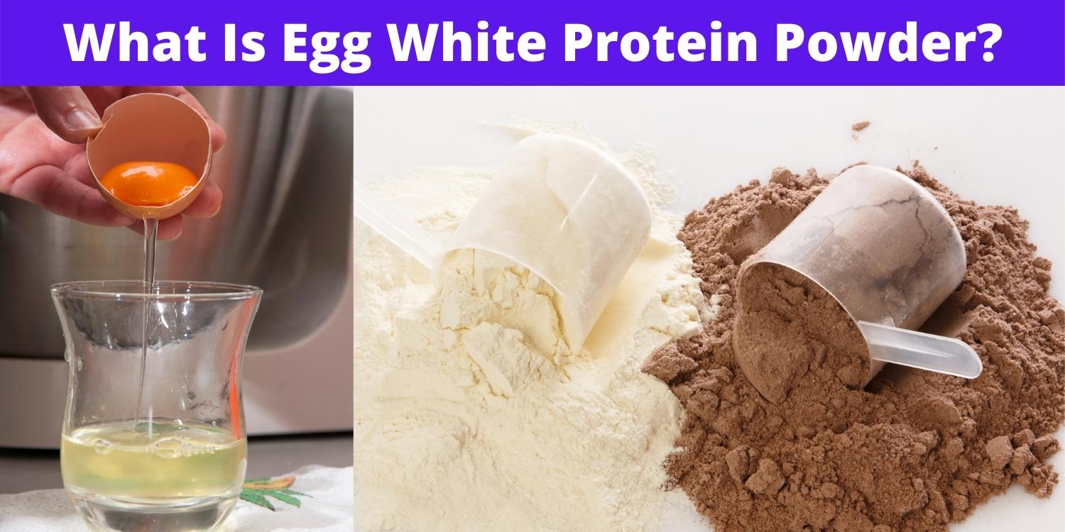 Best Egg White Protein Powder 2021 [Guaranteed]